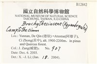 登錄號:B00012842藏品圖，第2張