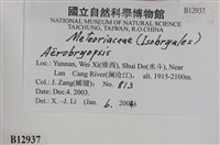 登錄號:B00012937藏品圖，第2張