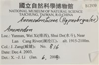 登錄號:B00012939藏品圖，第2張