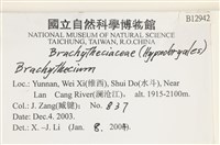 登錄號:B00012942藏品圖，第2張