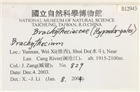 登錄號:B00012943藏品圖，第2張