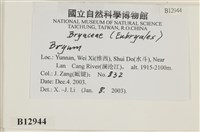 登錄號:B00012944藏品圖，第2張