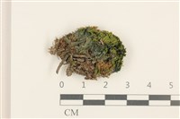 登錄號:B00012944藏品圖，第1張