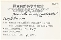 登錄號:B00012946藏品圖，第2張