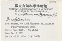 登錄號:B00012979藏品圖，第2張