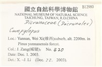 登錄號:B00012980藏品圖，第2張