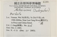 登錄號:B00012991藏品圖，第2張