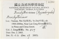 登錄號:B00012992藏品圖，第2張