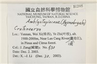 登錄號:B00012995藏品圖，第2張