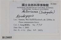 登錄號:B00013005藏品圖，第2張