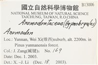 登錄號:B00013006藏品圖，第2張