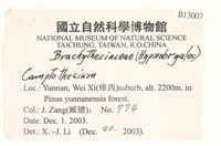 登錄號:B00013007藏品圖，第2張