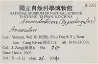 登錄號:B00013075藏品圖，第2張