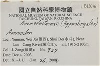 登錄號:B00013076藏品圖，第2張