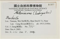 登錄號:B00013077藏品圖，第2張