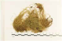 登錄號:B00013077藏品圖，第1張