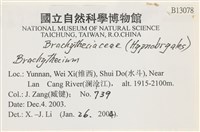 登錄號:B00013078藏品圖，第2張