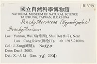 登錄號:B00013079藏品圖，第2張