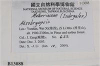 登錄號:B00013088藏品圖，第2張