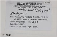 登錄號:B00013089藏品圖，第2張