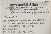 登錄號:B00013090藏品圖，第2張