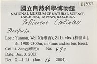 登錄號:B00013092藏品圖，第2張