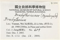 登錄號:B00013094藏品圖，第2張