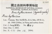 登錄號:B00013095藏品圖，第2張