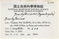 登錄號:B00013096藏品圖，第2張