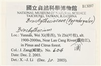 登錄號:B00013097藏品圖，第2張