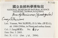 登錄號:B00013100藏品圖，第2張