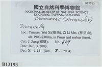 登錄號:B00013193藏品圖，第2張