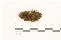 登錄號:B00013200藏品圖，第1張