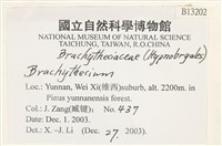 登錄號:B00013202藏品圖，第2張