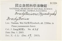 登錄號:B00013204藏品圖，第2張