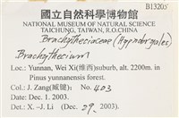 登錄號:B00013205藏品圖，第2張