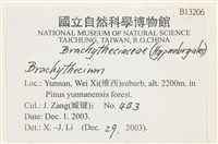 登錄號:B00013206藏品圖，第2張