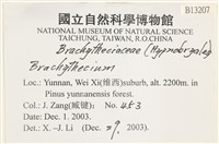 登錄號:B00013207藏品圖，第2張