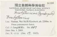 登錄號:B00013208藏品圖，第2張