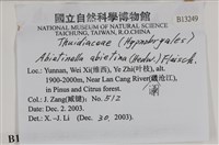 山羽蘚藏品圖，第2張