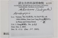 登錄號:B00013250藏品圖，第2張