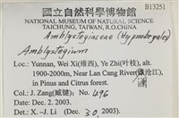 登錄號:B00013251藏品圖，第2張
