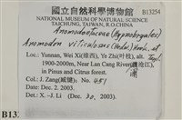 登錄號:B00013254藏品圖，第2張