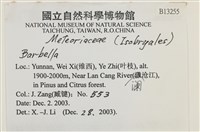 登錄號:B00013255藏品圖，第2張