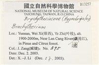 登錄號:B00013257藏品圖，第2張