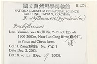 登錄號:B00013258藏品圖，第2張