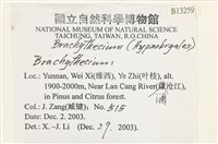 登錄號:B00013259藏品圖，第2張