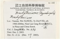 登錄號:B00013260藏品圖，第2張