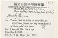 登錄號:B00013261藏品圖，第2張