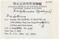 登錄號:B00013262藏品圖，第2張